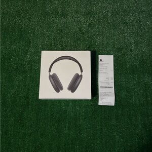 Apple Headphones in Dark Gray